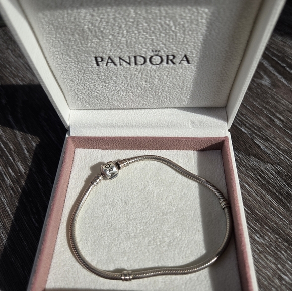 Pandora Silver Snack Charm Bracelet - Picture 1 of 5